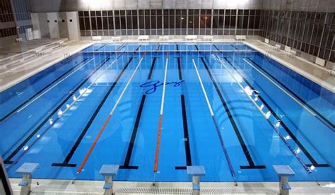 gazi universitesi spor merkezi kapalı yüzme havuzu